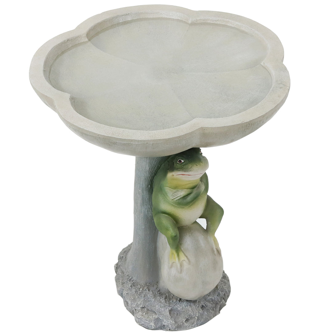 Polyresin Brooding Frog on Stone Outdoor Garden Bird Bath - 22 in by Sunnydaze Image 6