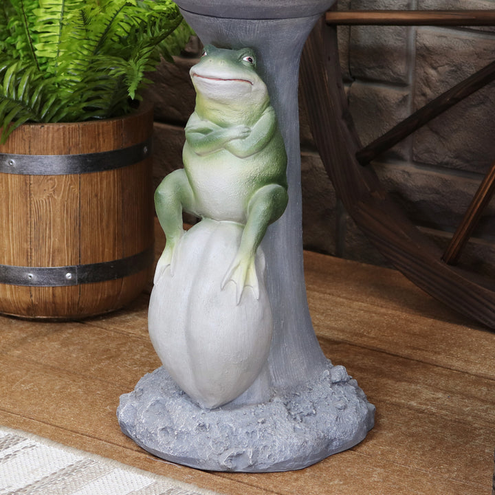 Polyresin Brooding Frog on Stone Outdoor Garden Bird Bath - 22 in by Sunnydaze Image 8