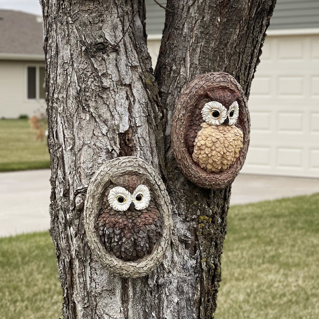 Sunnydaze Winifred and Wesley the Owls Resin Tree Hugger Decorations - 9 in Image 4