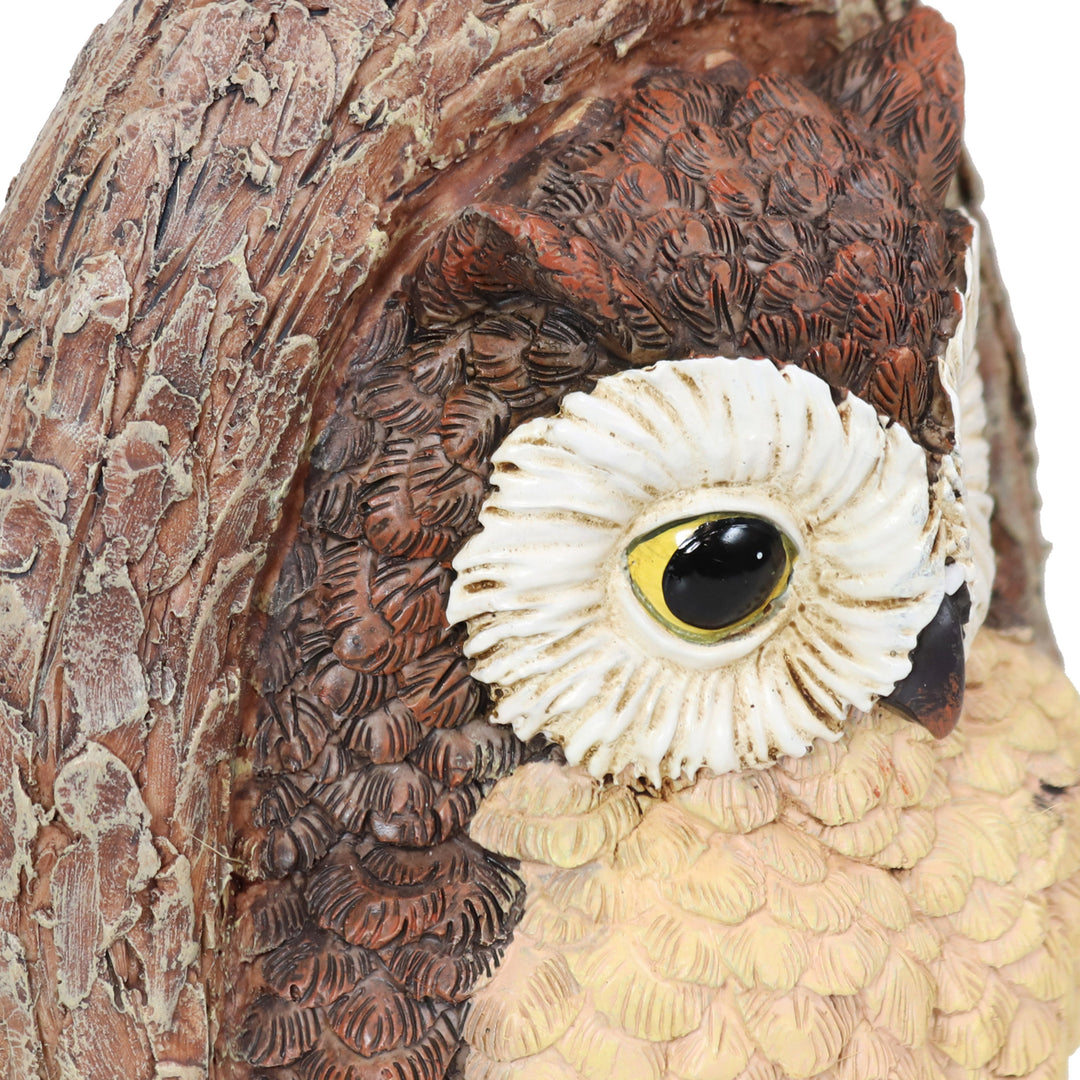 Sunnydaze Winifred and Wesley the Owls Resin Tree Hugger Decorations - 9 in Image 8