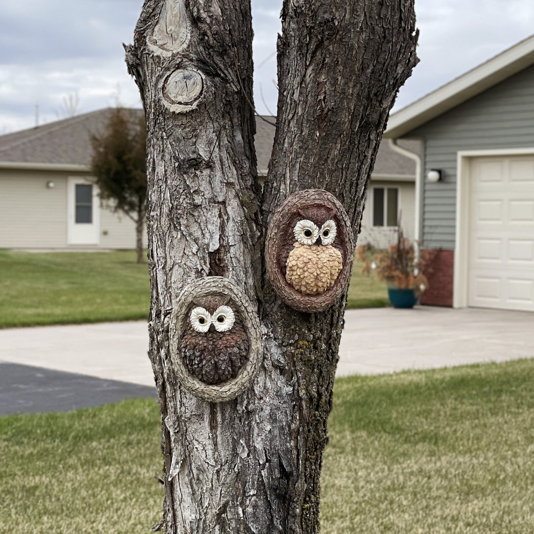 Sunnydaze Winifred and Wesley the Owls Resin Tree Hugger Decorations - 9 in Image 5