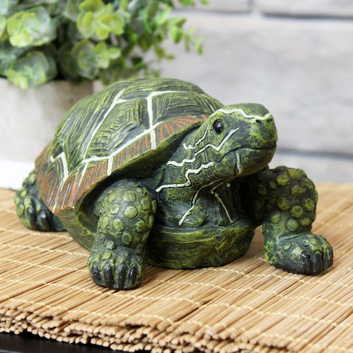 Sunnydaze Terrance the Tortoise Indoor and Outdoor Statue - 9 in - Set of 2 Image 4