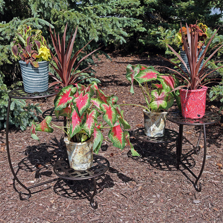 Sunnydaze 3-Tier Triple Plant Stand with Checkered Base - 24 in - Set of 2 Image 5