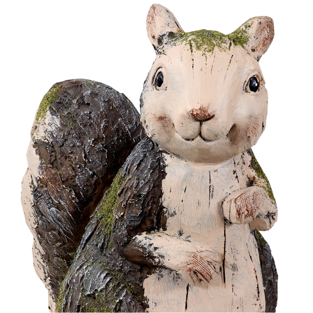 Sunnydaze Silas the Woodland Squirrel MGO Indoor/Outdoor Statue - 13 in Image 5