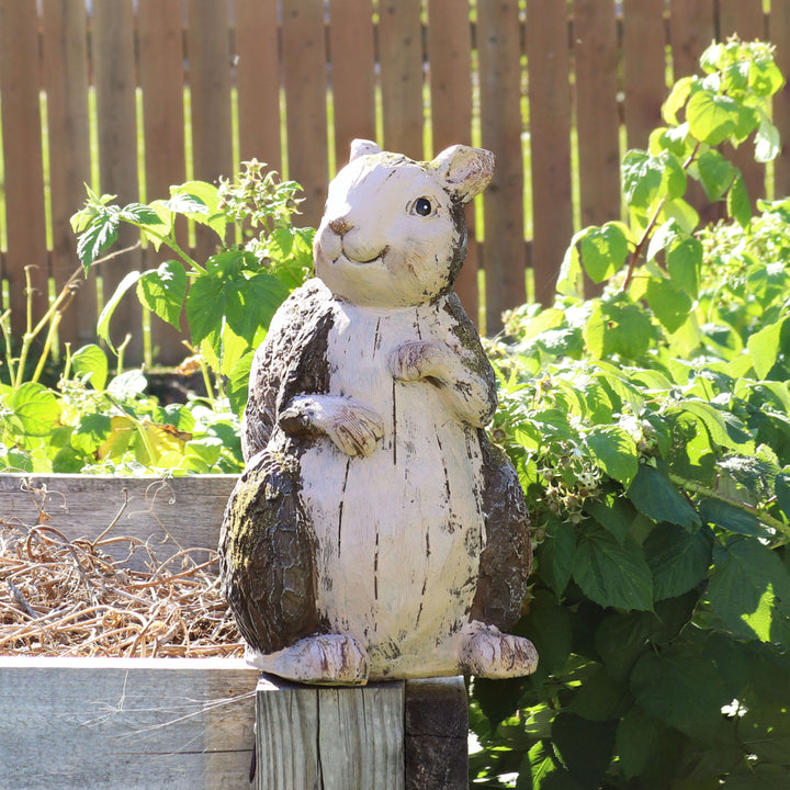 Sunnydaze Silas the Woodland Squirrel MGO Indoor/Outdoor Statue - 13 in Image 6