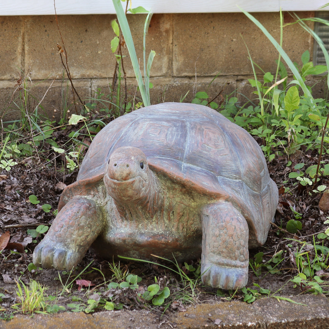 Sunnydaze Talia the Tortoise Indoor/Outdoor Garden Statue - 12 in Image 6