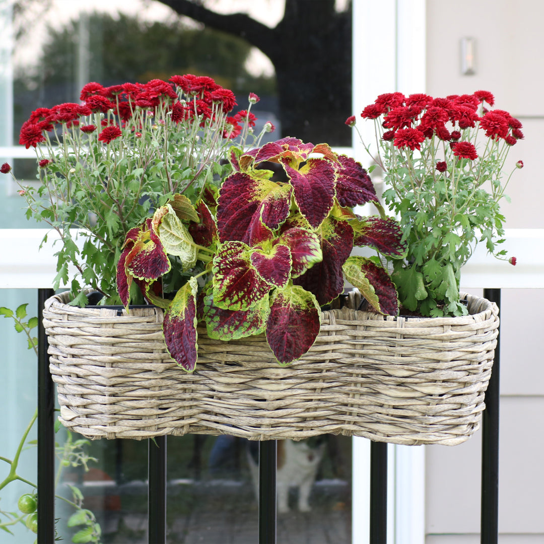 Sunnydaze Polyrattan Hanging Over-the-Rail Tri-Planter and Liner - Frost Image 4