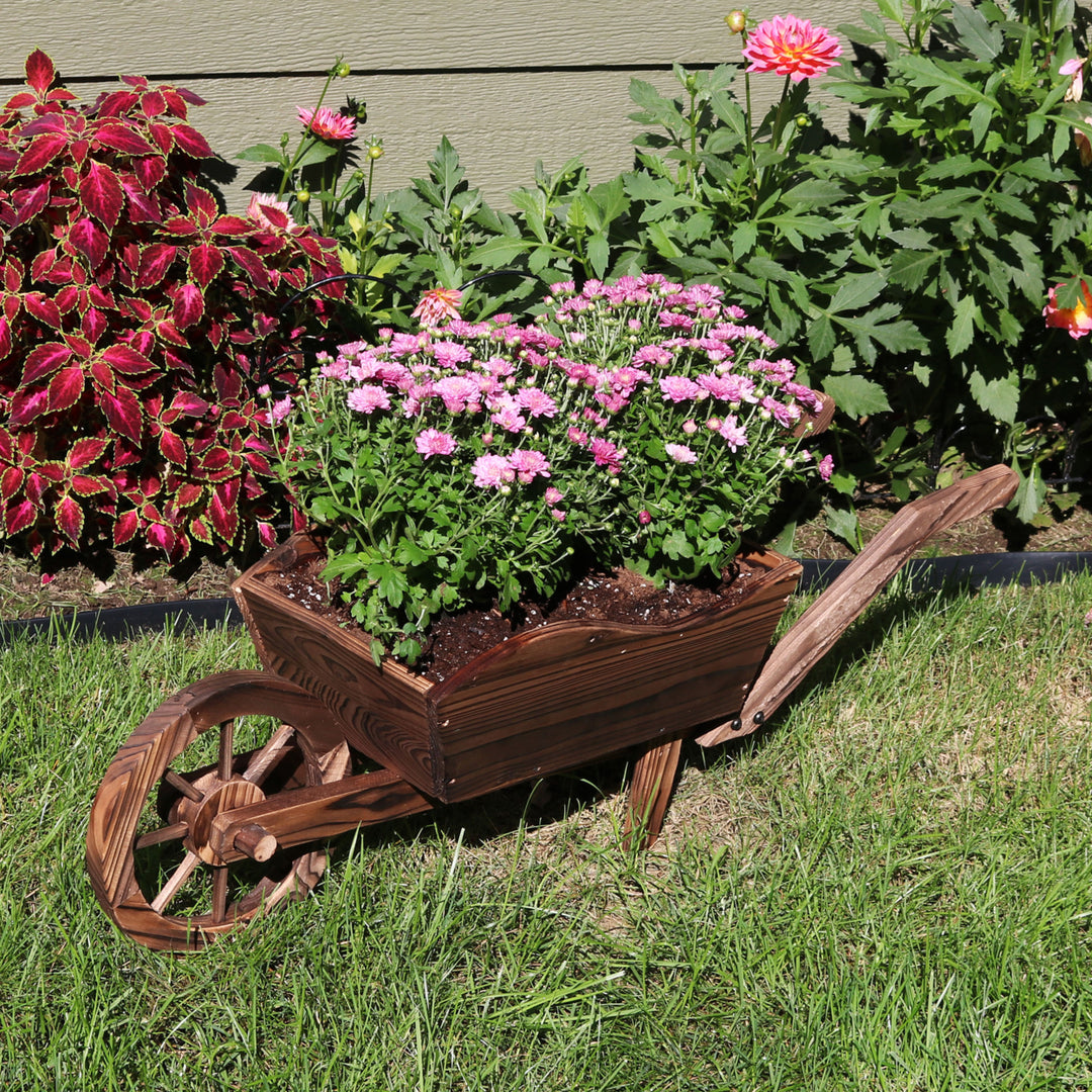 Sunnydaze Natural Wooden Fir Decorative Wheelbarrow Garden Planter Image 5