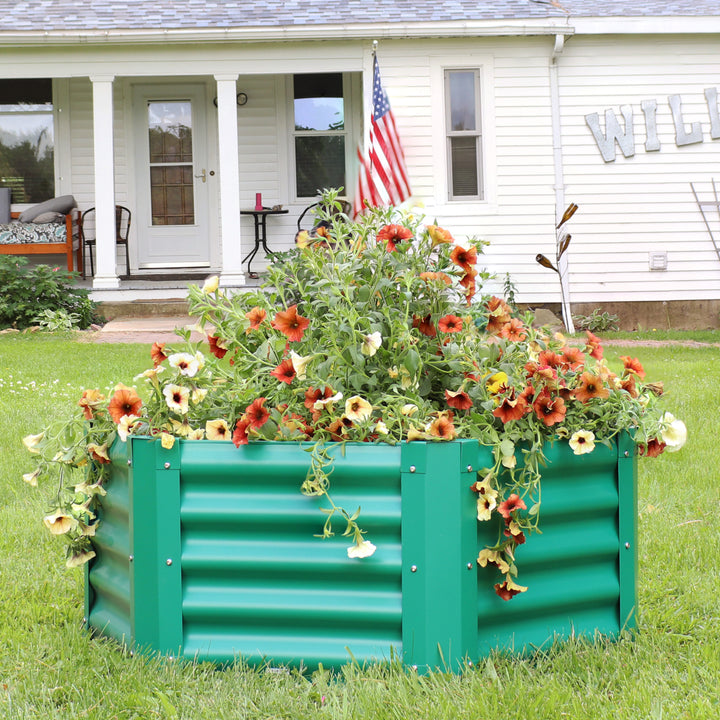 Sunnydaze Powder-Coated Steel Hexagon Raised Garden Bed - Green - 41 in Image 4