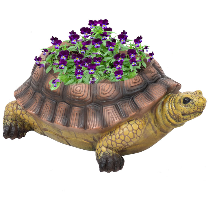 Sunnydaze Teddy the Tortoise 11 in Polyresin Outdoor Garden Planter Image 5