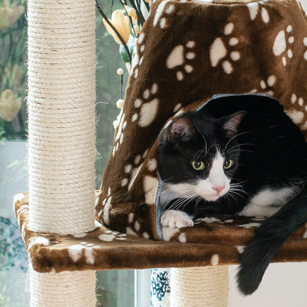 Armarkat Cat Tree A6601 Real Wood 66in 4 Features Jackson Galaxy Approved Image 2