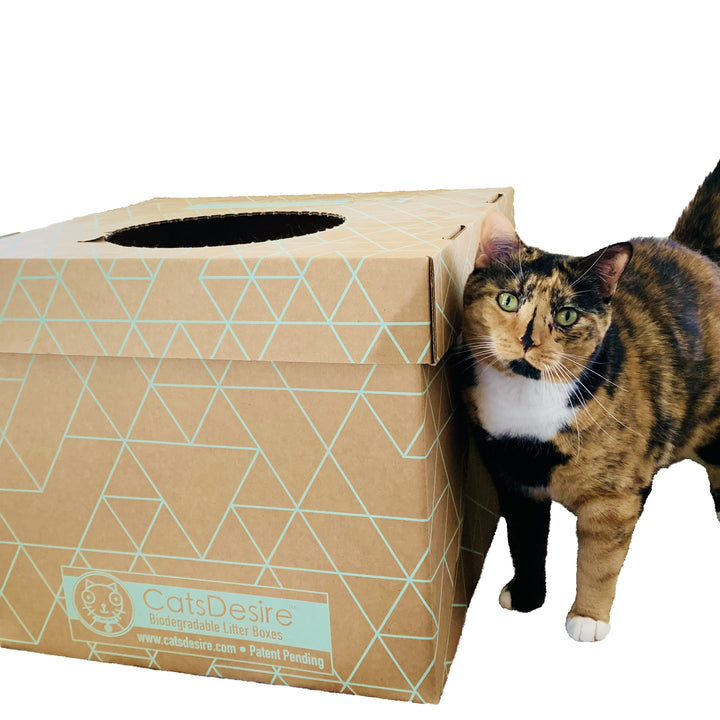 Cats Desire Disposable Litter Box Sampler Top Entry Side Entry Made in USA 2ct Image 2