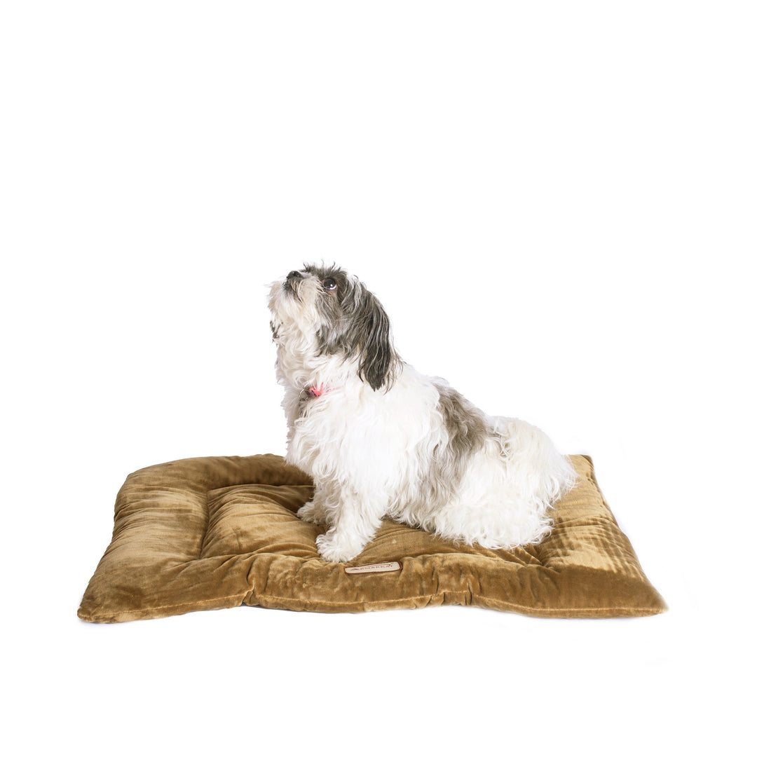 Armarkat M01CHL-M Medium Pet Bed Mat Sage Green Premium Poly Fill 27x19 inches Image 1