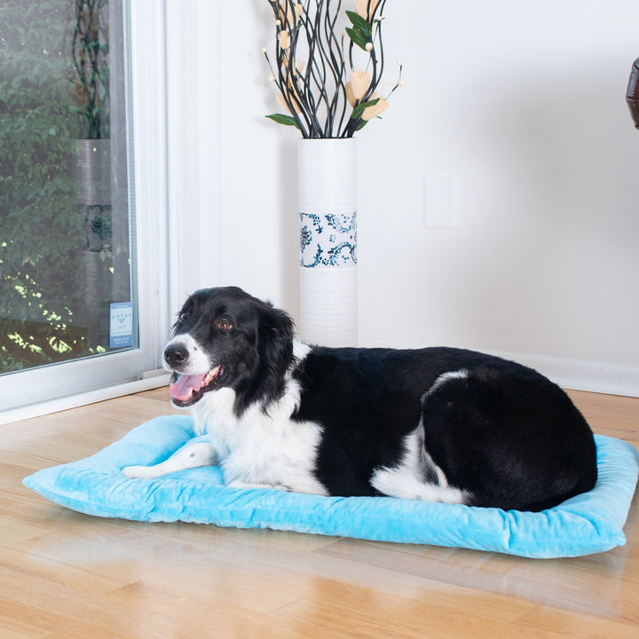 Armarkat M01CTL-L Large Sky Blue Pet Bed Mat with Poly Fill Cushion Image 2