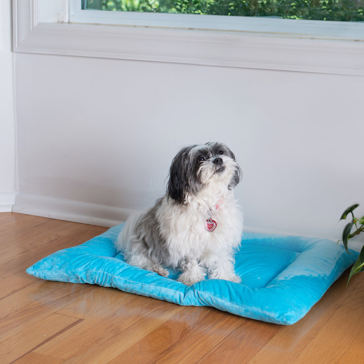 Armarkat M01CTL-M Medium Pet Bed Mat Sky Blue 27x19 Velvet Cushion Image 4