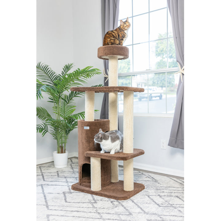 Armarkat Real Wood 3-Level Carpeted Cat Tree Condo, Kitten Climber F5602 Image 6