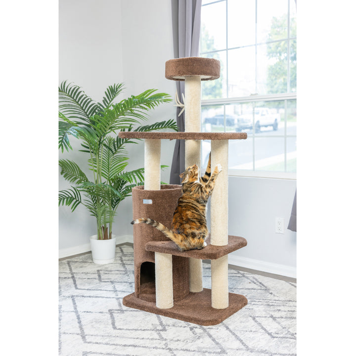 Armarkat Real Wood 3-Level Carpeted Cat Tree Condo, Kitten Climber F5602 Image 7