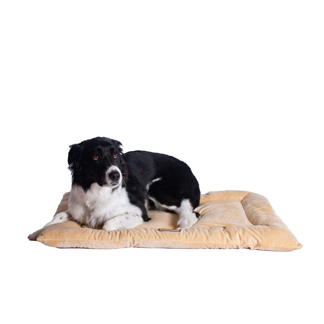 Armarkat M01CMH-L Large Dog Bed Mat Beige Velvet Poly Fill 35"x22" Image 5