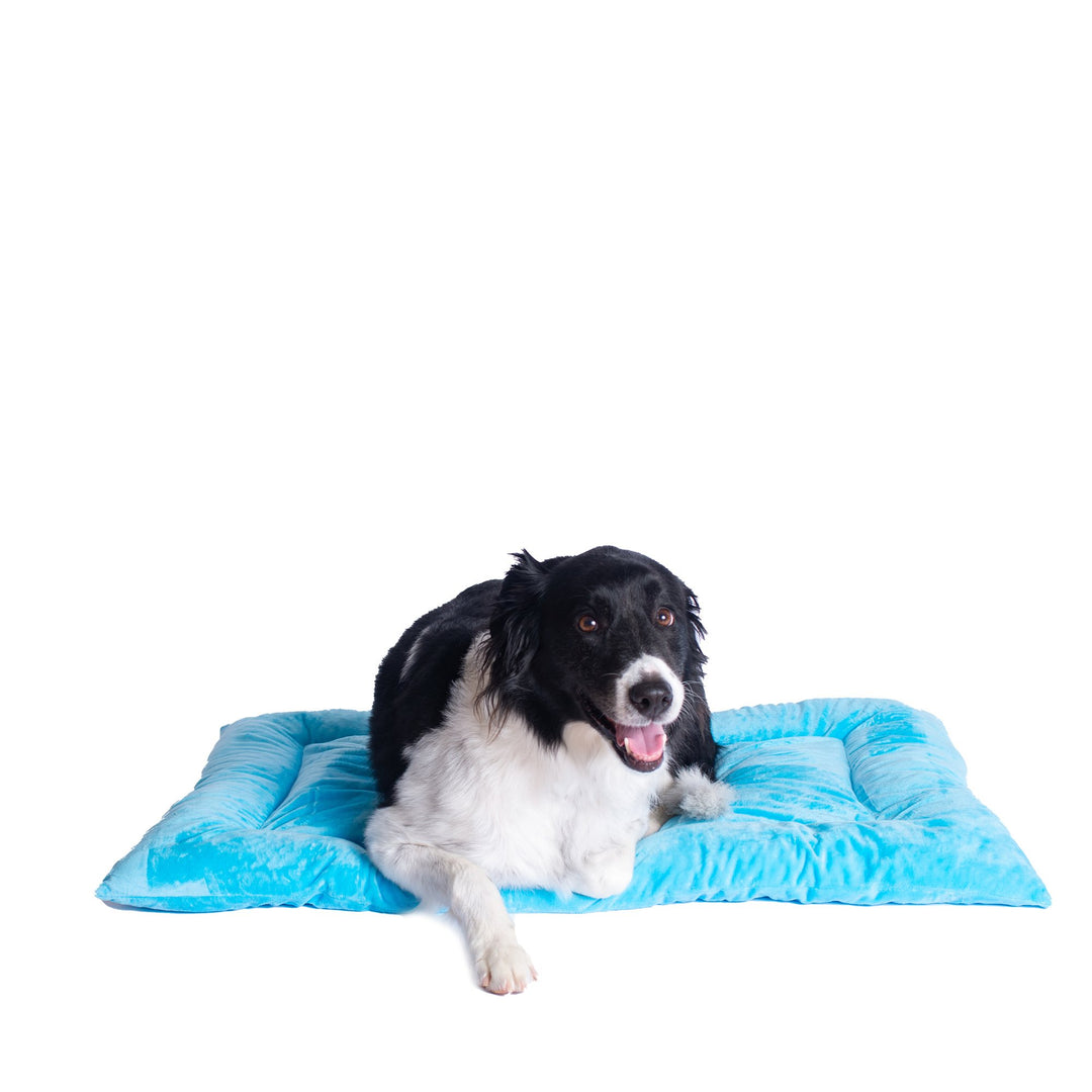 Armarkat M01CTL-L Large Sky Blue Pet Bed Mat with Poly Fill Cushion Image 4