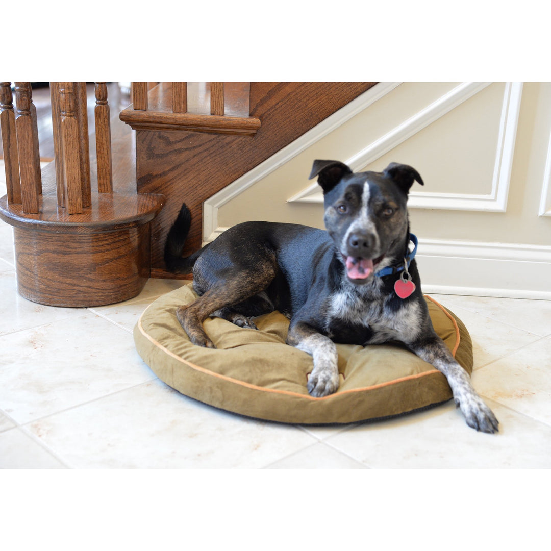 Armarkat M04CHL Sage Green Pet Bed Pad Waterproof Poly Fill Cushion 25x25x3.5 Image 7