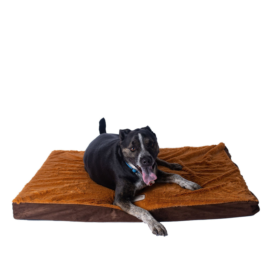 Armarkat M06 Large Memory Foam Orthopedic Pet Bed Mocha Earth Brown 39x28 Inches Image 7