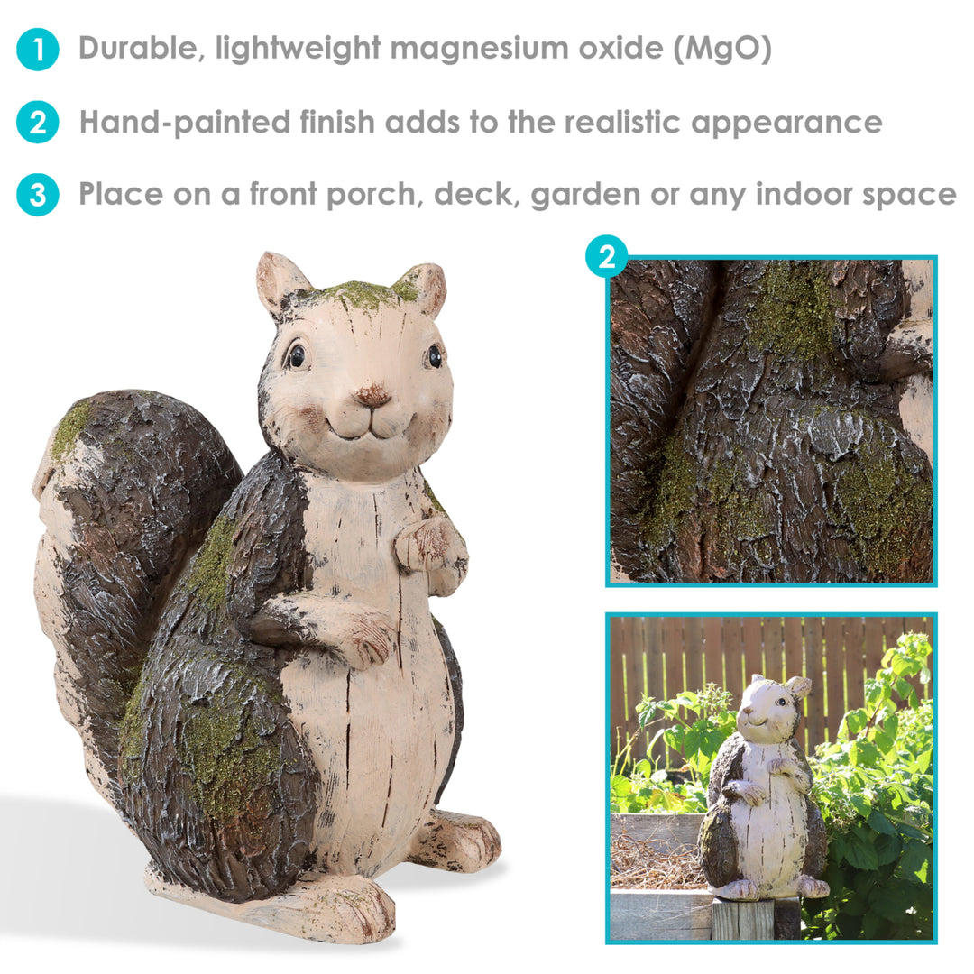 Sunnydaze Silas the Woodland Squirrel MGO Indoor/Outdoor Statue - 13 in Image 4