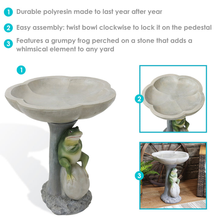 Polyresin Brooding Frog on Stone Outdoor Garden Bird Bath - 22 in by Sunnydaze Image 4