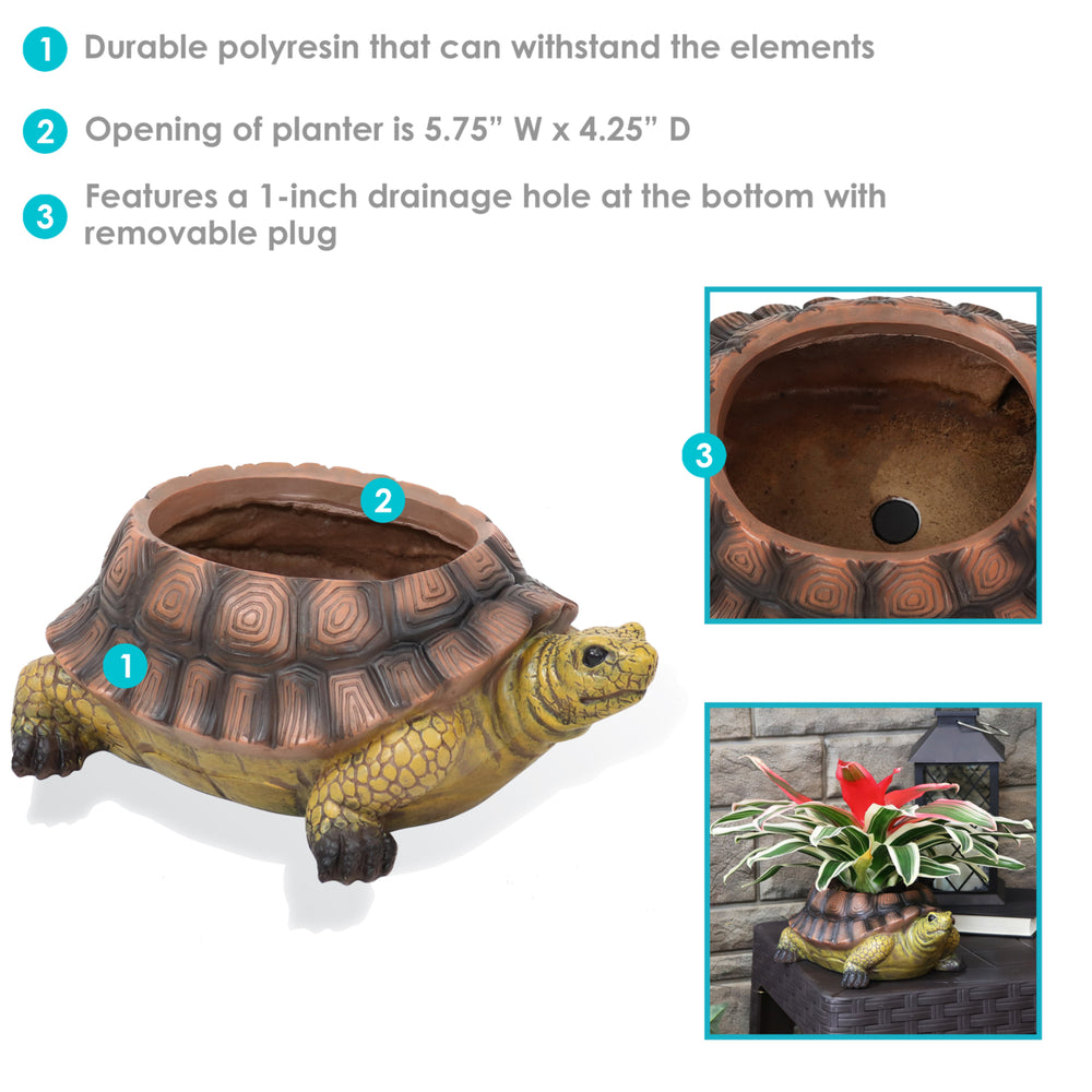 Sunnydaze Teddy the Tortoise 11 in Polyresin Outdoor Garden Planter Image 2