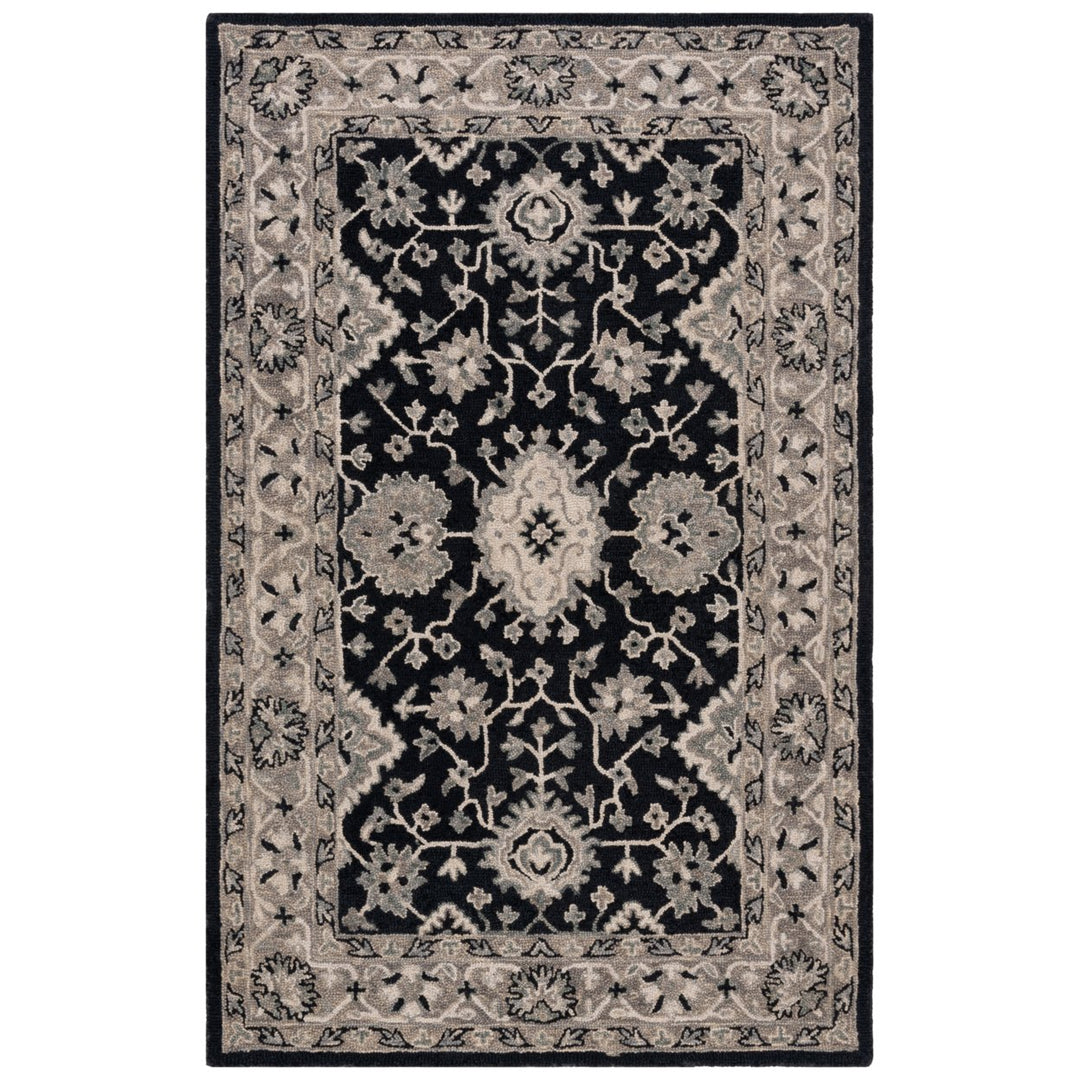 SAFAVIEH Aspen APN134F Handmade Grey / Green Rug Image 1