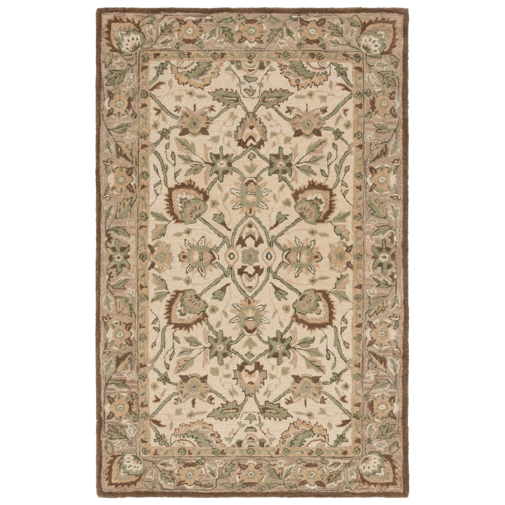 SAFAVIEH Arizona Shag Collection ASG742A Ivory/Beige Rug Image 1