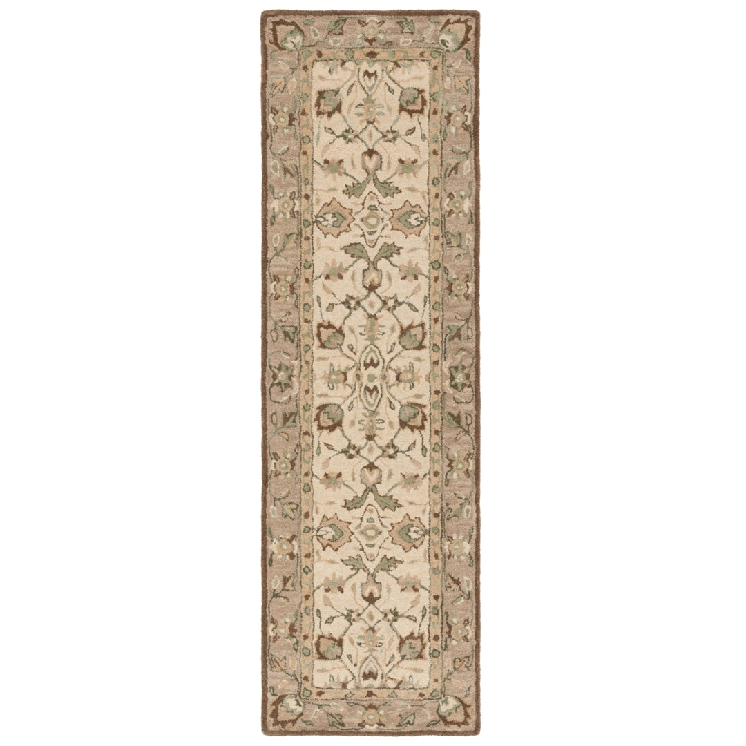 SAFAVIEH Arizona Shag Collection ASG742A Ivory/Beige Rug Image 9