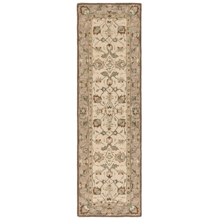 SAFAVIEH Arizona Shag Collection ASG742A Ivory/Beige Rug Image 9