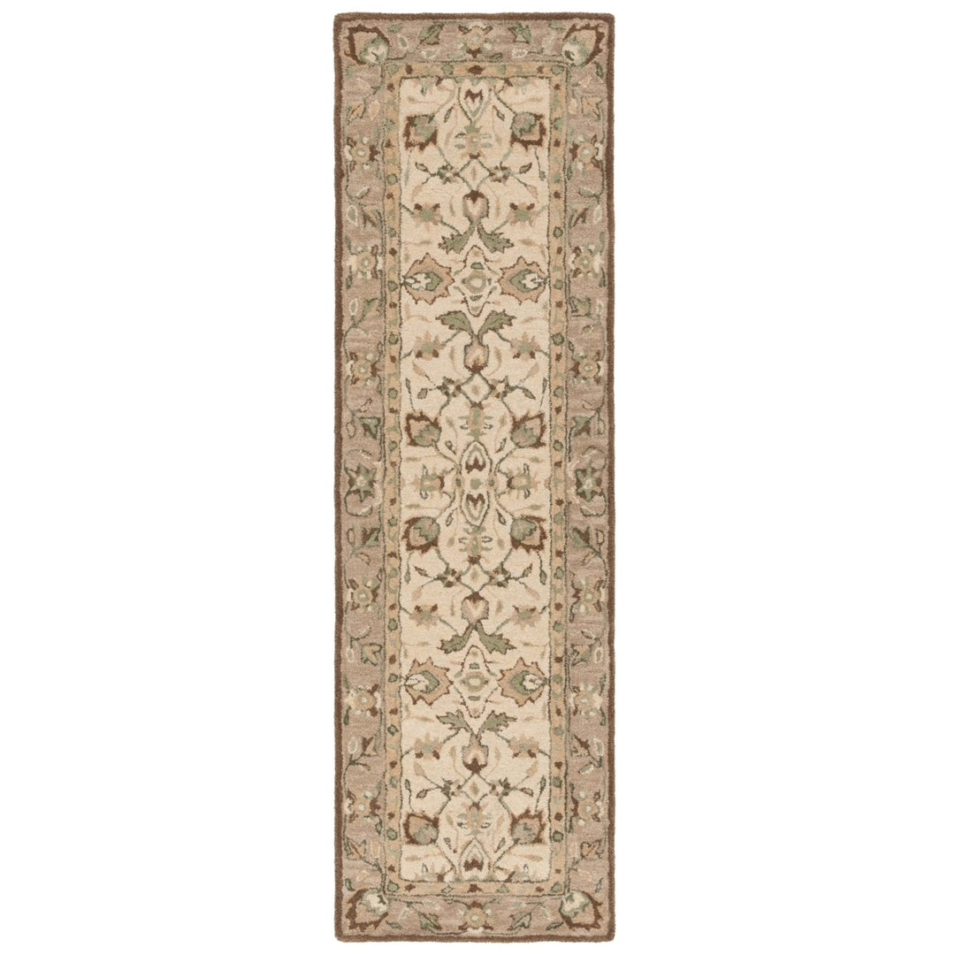 SAFAVIEH Arizona Shag Collection ASG742A Ivory/Beige Rug Image 1