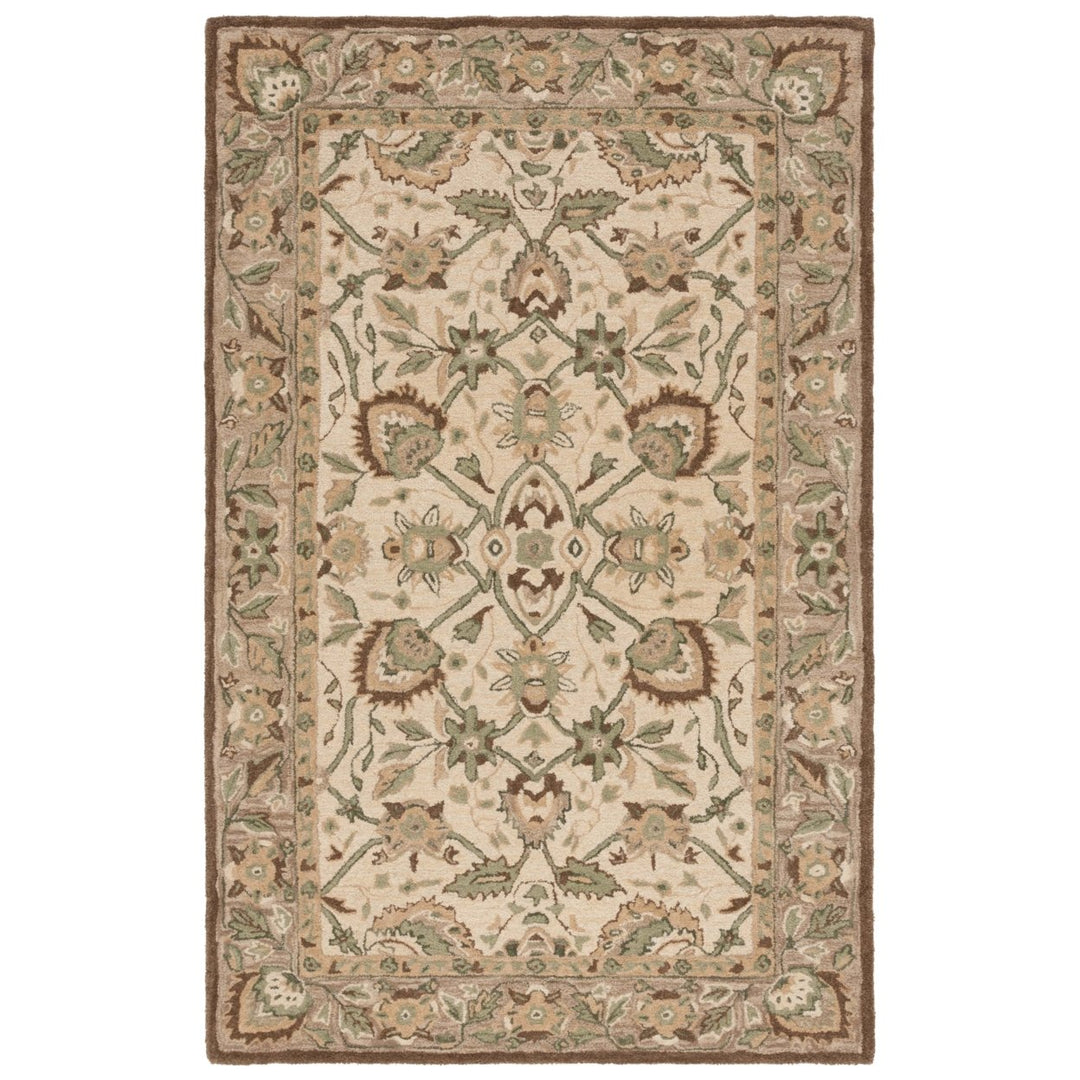 SAFAVIEH Arizona Shag Collection ASG743A Ivory/Beige Rug Image 1