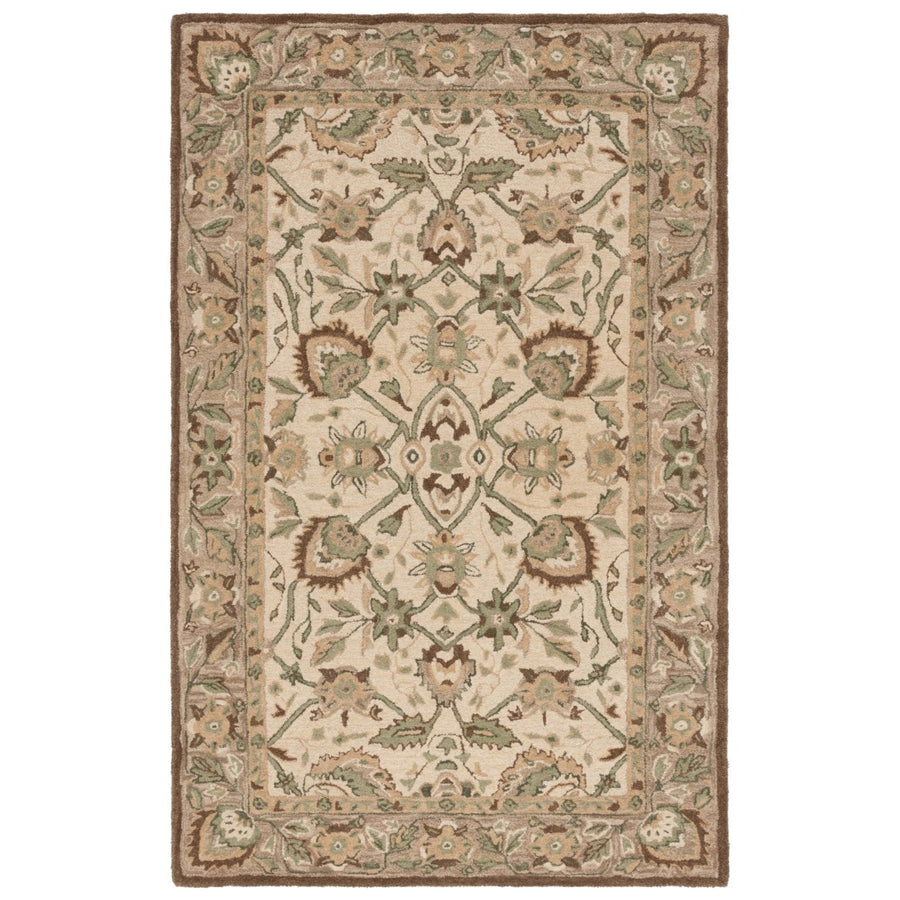 SAFAVIEH Arizona Shag Collection ASG743A Ivory/Beige Rug Image 1