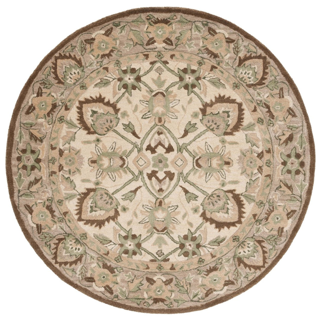 SAFAVIEH Arizona Shag Collection ASG743A Ivory/Beige Rug Image 10