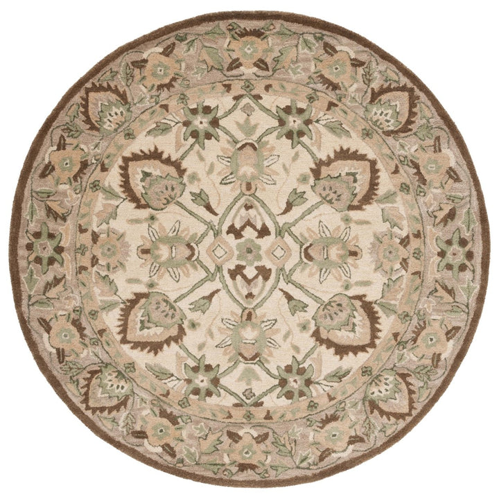 SAFAVIEH Arizona Shag Collection ASG743A Ivory/Beige Rug Image 10