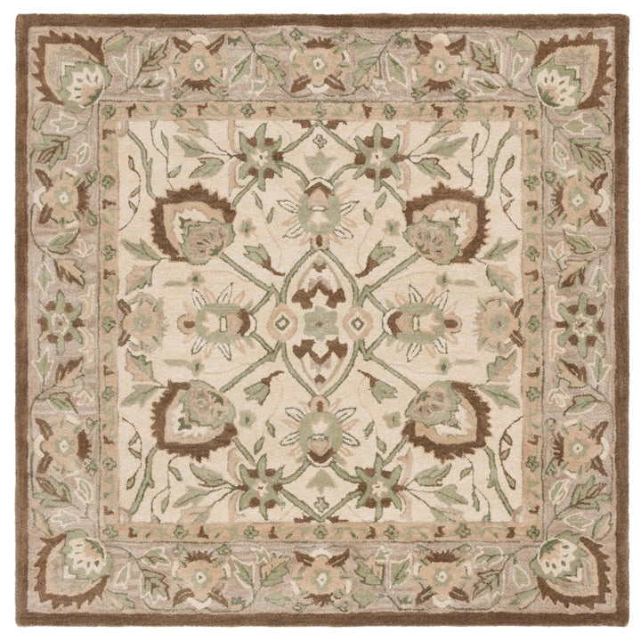 SAFAVIEH Arizona Shag Collection ASG743A Ivory/Beige Rug Image 11