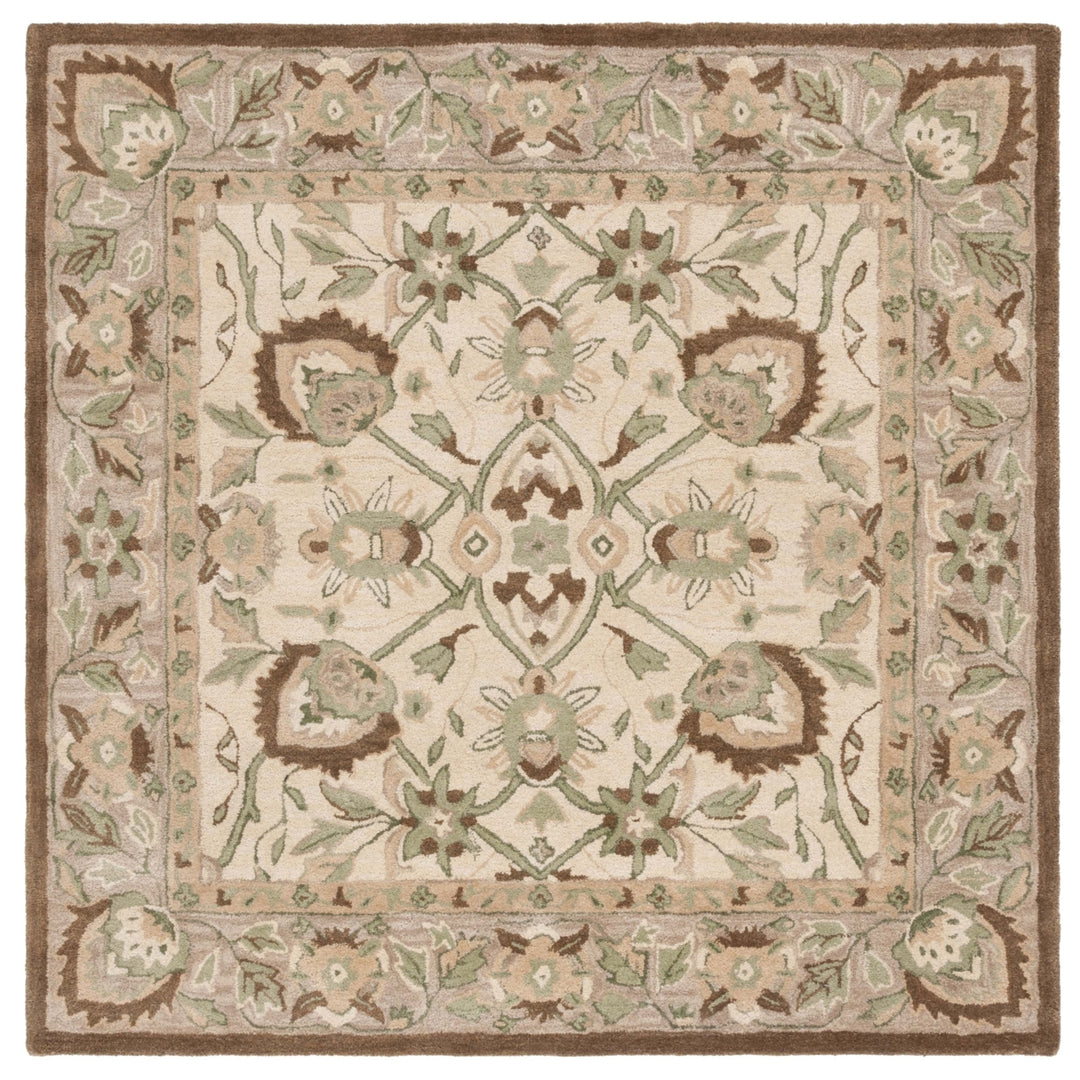 SAFAVIEH Arizona Shag Collection ASG743A Ivory/Beige Rug Image 1