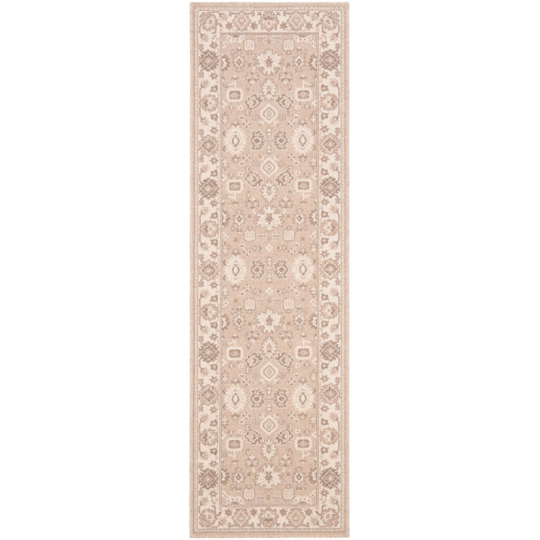 SAFAVIEH Elements Collection ELM701A Handwoven Ivory Rug Image 6