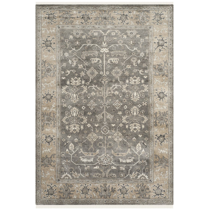 SAFAVIEH Oregon Collection ORE870B Beige / Grey Rug Image 1