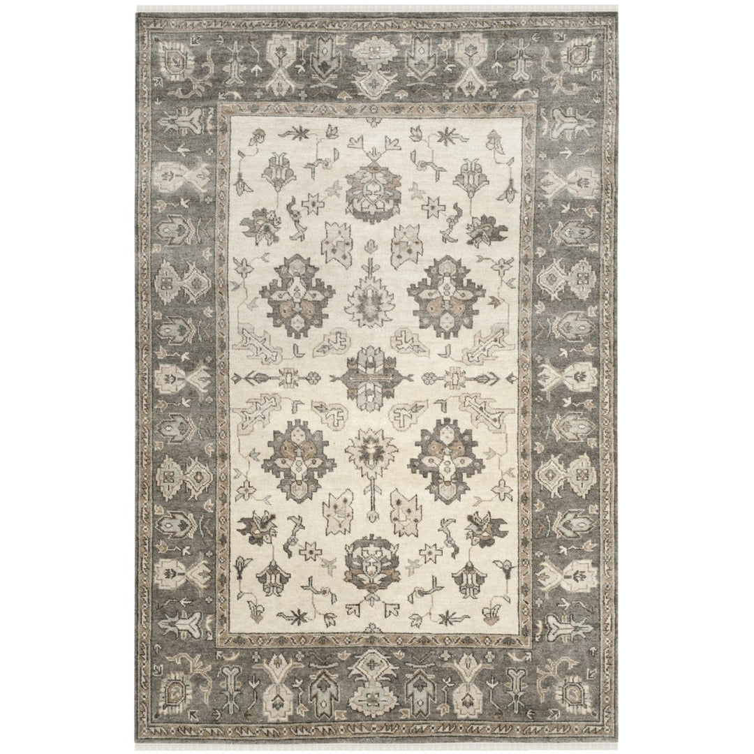 SAFAVIEH Oregon Collection ORE870B Beige / Grey Rug Image 5