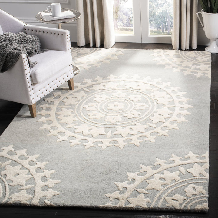 SAFAVIEH Summit Collection SMT295R Red / Ivory Rug Image 3