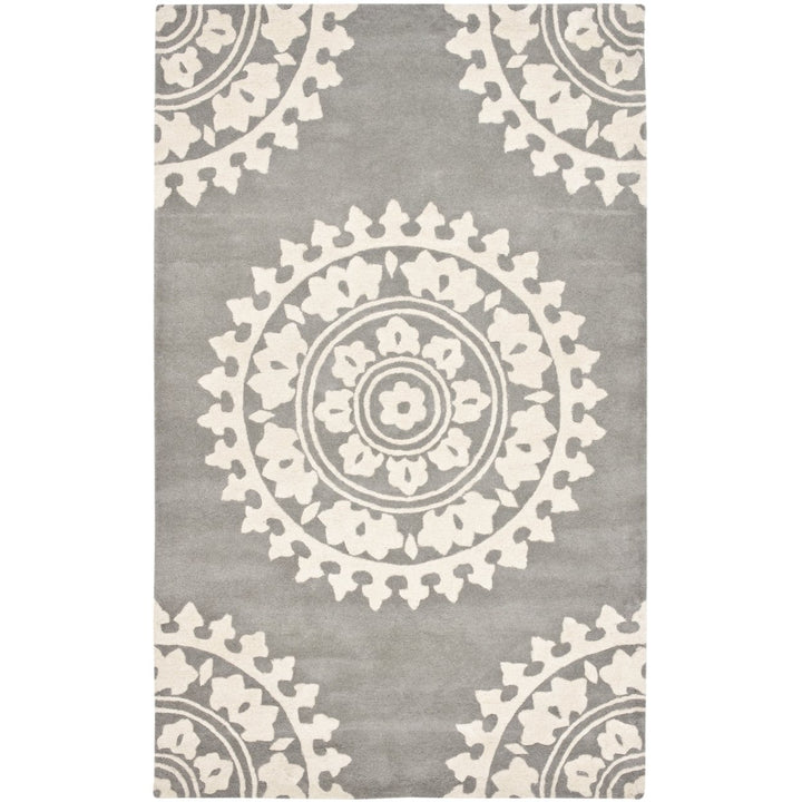 SAFAVIEH Summit Collection SMT295R Red / Ivory Rug Image 4