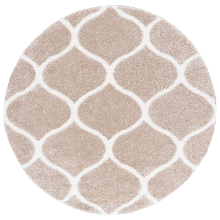SAFAVIEH Tahoe Shag Collection THO675G Silver / White Rug Image 3