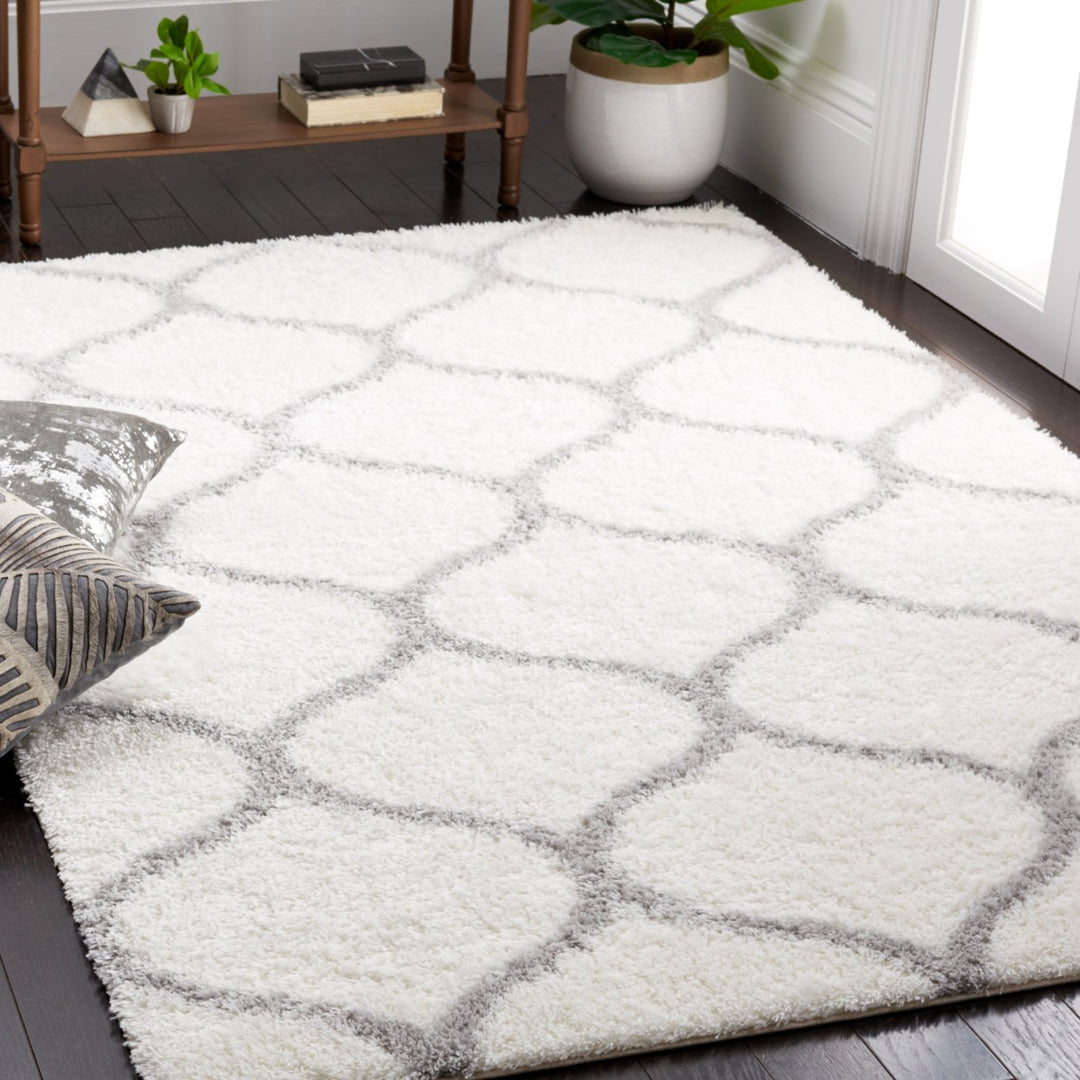 SAFAVIEH Tahoe Shag Collection THO675G Silver / White Rug Image 5
