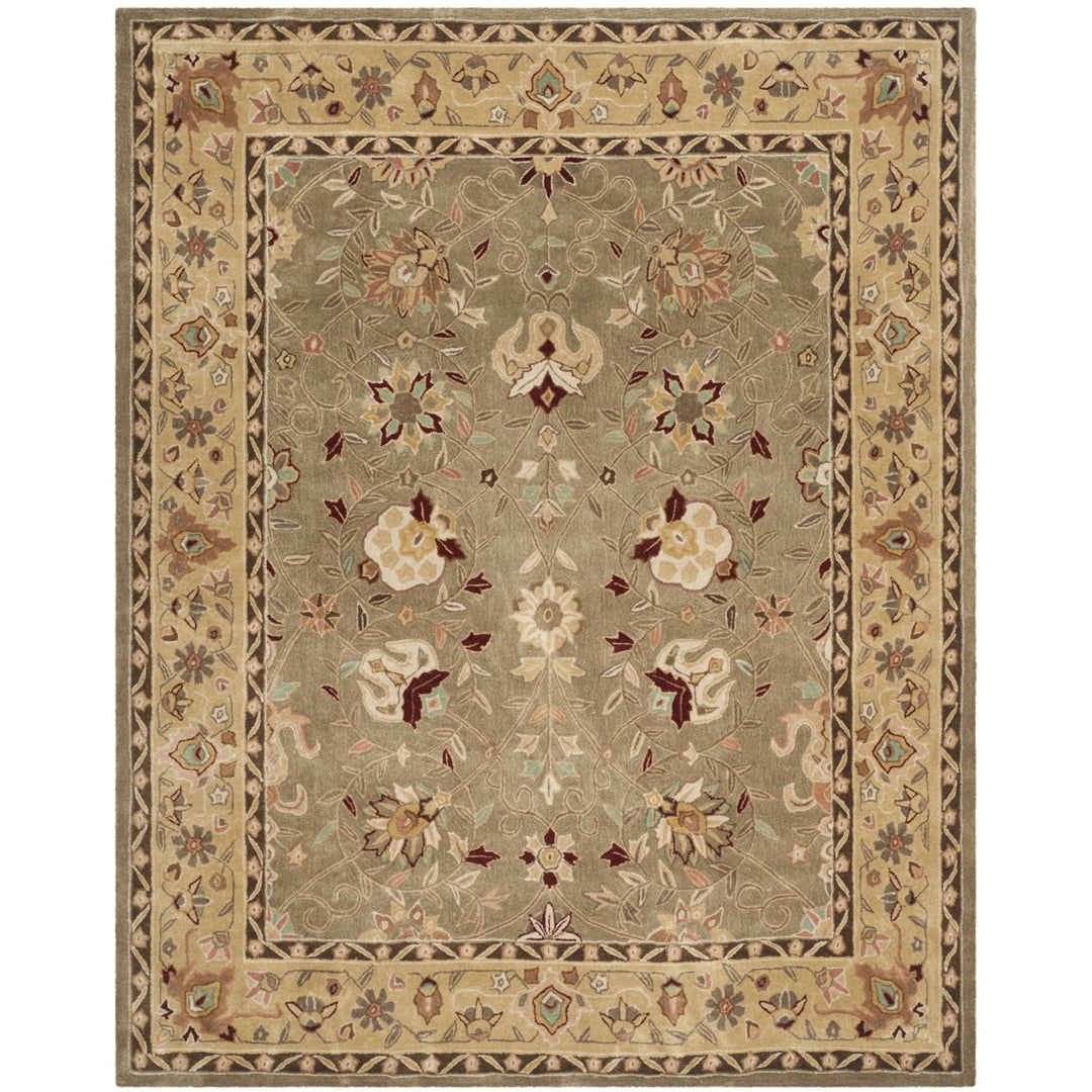 SAFAVIEH Tahoe Shag Collection THO676W Sage / White Rug Image 8