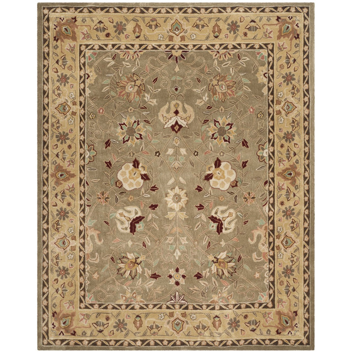 SAFAVIEH Tahoe Shag Collection THO676W Sage / White Rug Image 1