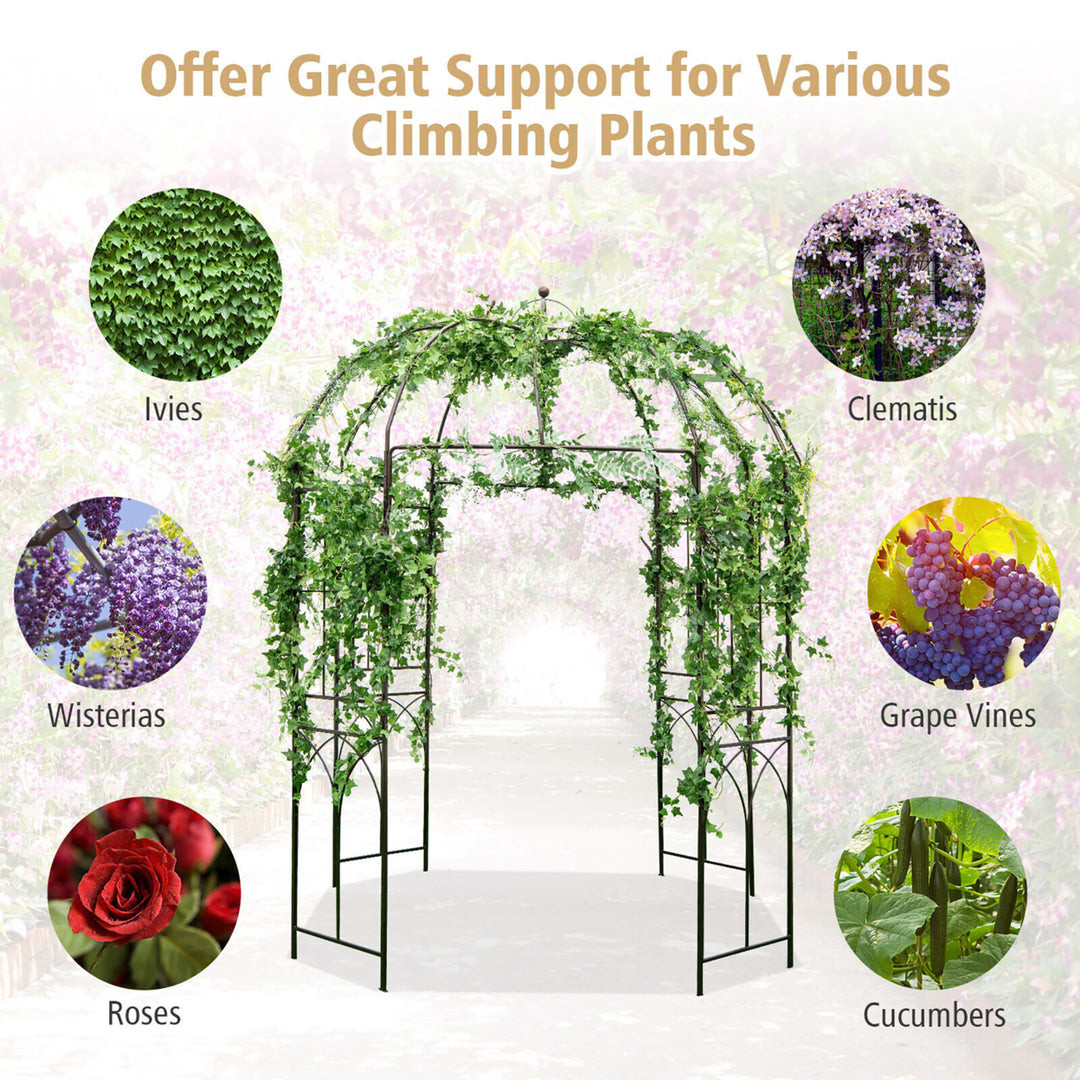 Birdcage Shape Garden Arbor Pergola Climbing Plants Stand Rack for Wedding Party Image 6