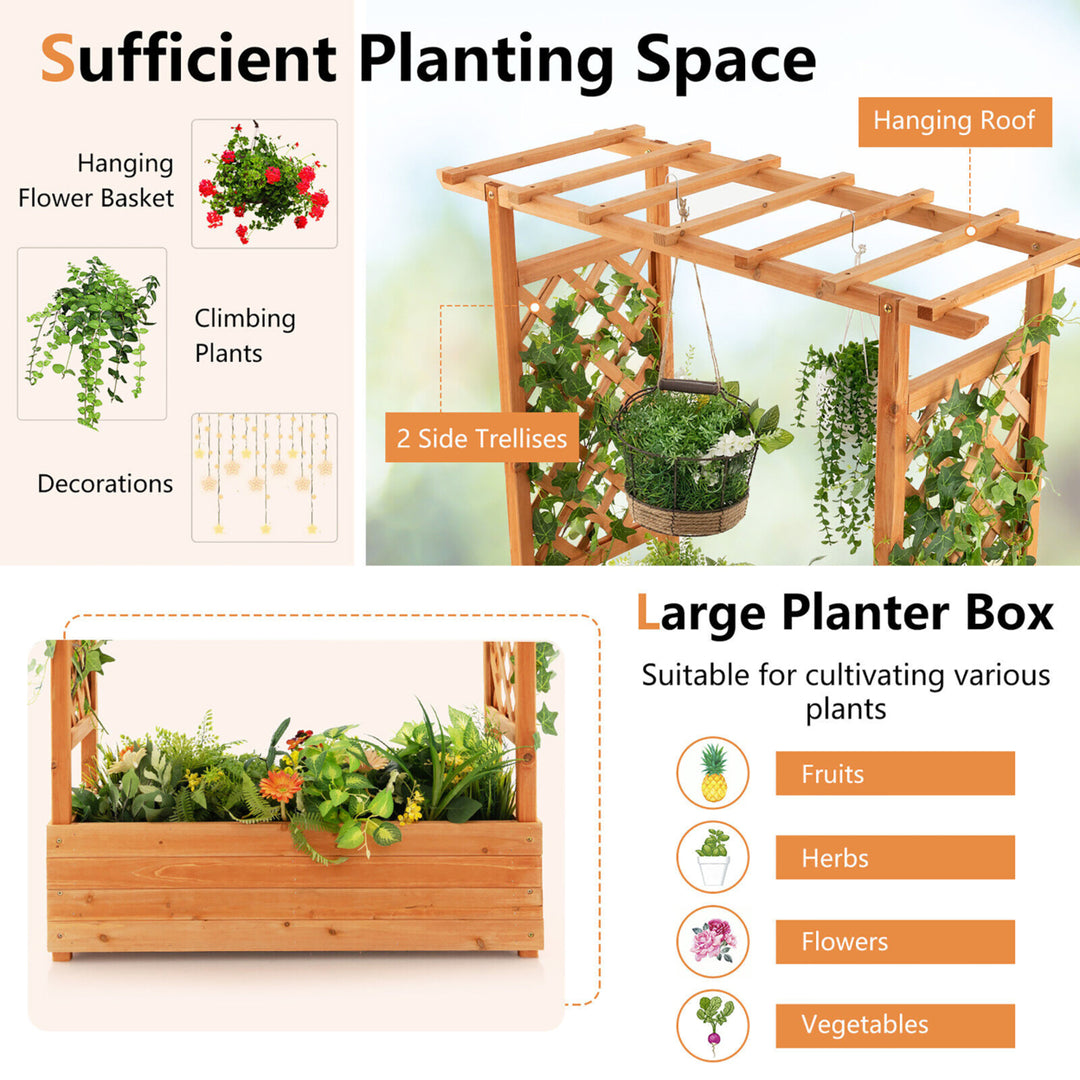 Raised Garden Bed Planter Box w/ Side and Top Trellis for Vine Climbing Plants Image 6